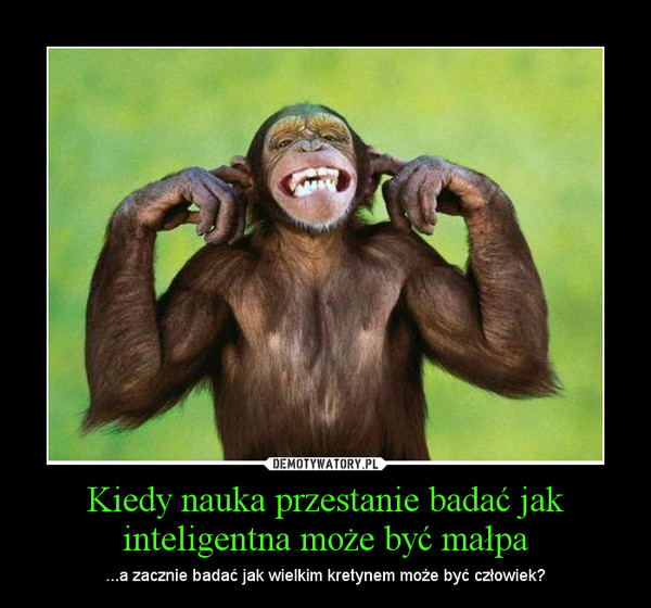 Kiedy nauka przestanie badać jak inteligentna może być małpa – ...a zacznie badać jak wielkim kretynem może być człowiek? 