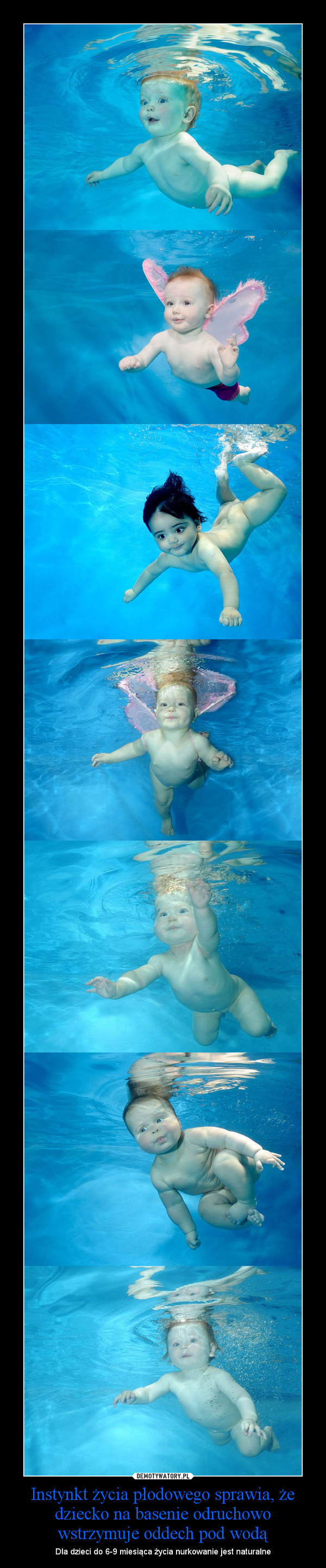 Instynkt życia płodowego sprawia, że dziecko na basenie odruchowo wstrzymuje oddech pod wodą – Dla dzieci do 6-9 miesiąca życia nurkowanie jest naturalne 
