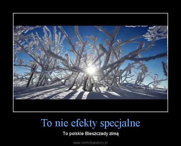 To nie efekty specjalne – To polskie Bieszczady zimą 