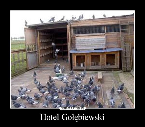 Hotel Gołębiewski –  