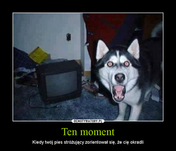 Ten moment
