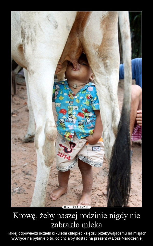Krowę, żeby naszej rodzinie nigdy nie zabrakło mleka – Takiej odpowiedzi udzielił kilkuletni chłopiec księdzu przebywającemu na misjach w Afryce na pytanie o to, co chciałby dostać na prezent w Boże Narodzenie 