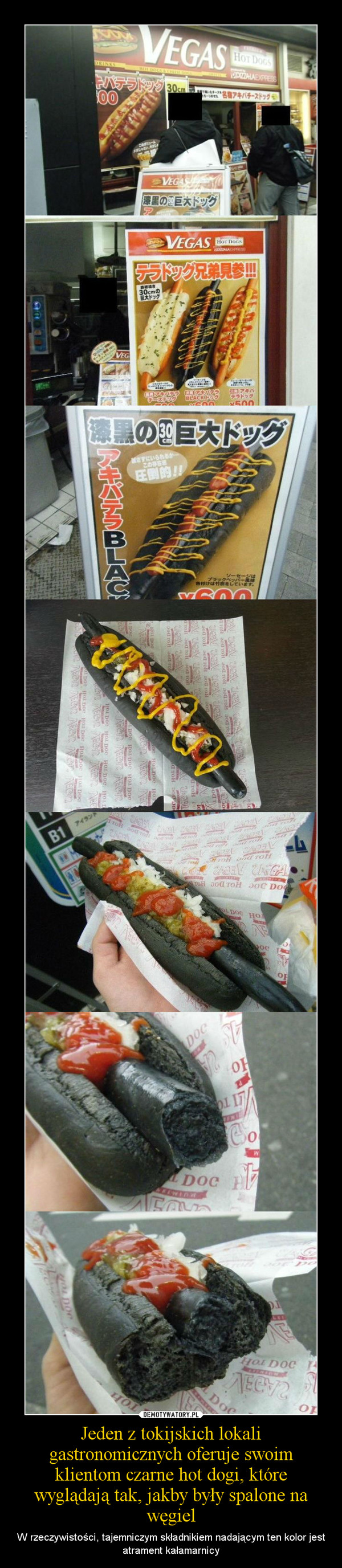 Jeden z tokijskich lokali gastronomicznych oferuje swoim klientom czarne hot dogi, które wyglądają tak, jakby były spalone na węgiel – W rzeczywistości, tajemniczym składnikiem nadającym ten kolor jest atrament kałamarnicy 