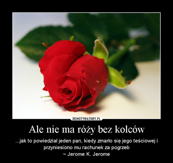Ale nie ma róży bez kolców – ...jak to powiedział jeden pan, kiedy zmarło się jego teściowej i przyniesiono mu rachunek za pogrzeb~ Jerome K. Jerome 