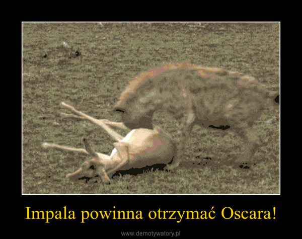 Impala powinna otrzymać Oscara! –  