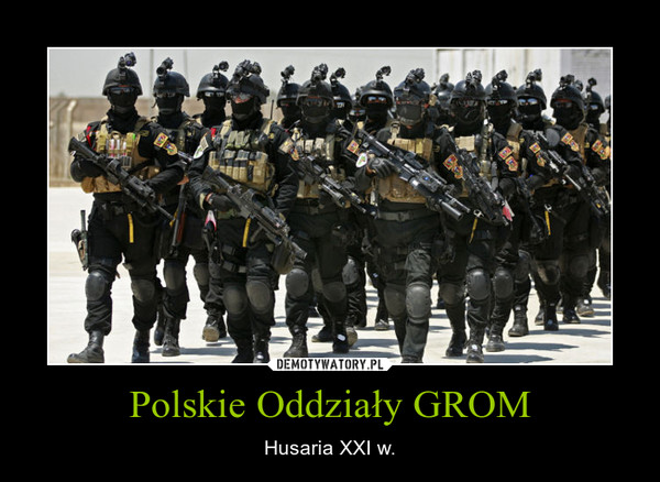Polskie Oddziały GROM – Husaria XXI w. 