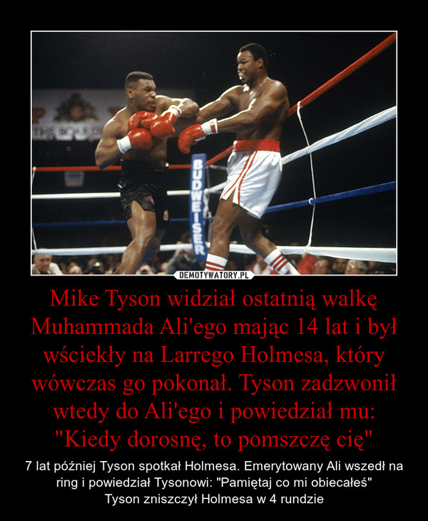 Mike Tyson widział ostatnią walkę Muhammada Ali'ego mając 14 lat i był wściekły na Larrego Holmesa, który wówczas go pokonał. Tyson zadzwonił wtedy do Ali'ego i powiedział mu: "Kiedy dorosnę, to pomszczę cię" – 7 lat później Tyson spotkał Holmesa. Emerytowany Ali wszedł na ring i powiedział Tysonowi: "Pamiętaj co mi obiecałeś"Tyson zniszczył Holmesa w 4 rundzie 