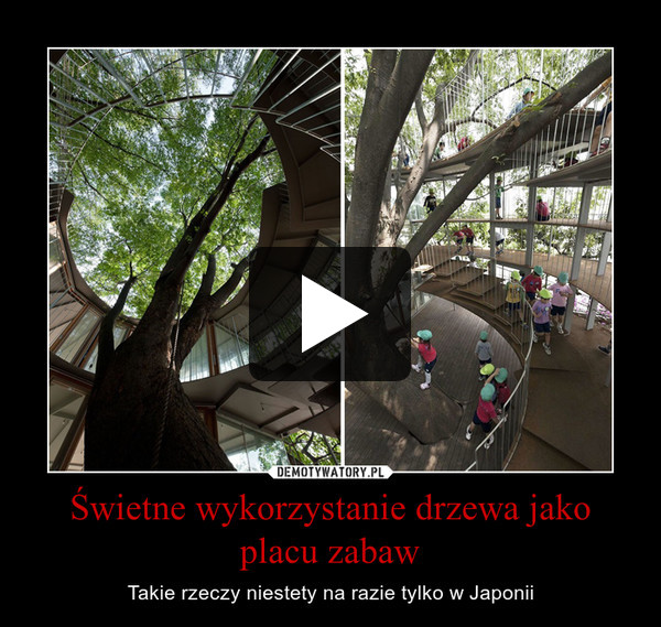 Świetne wykorzystanie drzewa jako placu zabaw – Takie rzeczy niestety na razie tylko w Japonii 