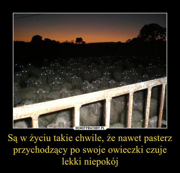 Są w życiu takie chwile, że nawet pasterz przychodzący po swoje owieczki czuje lekki niepokój –  
