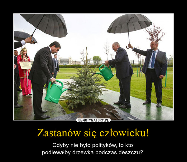 Zastanów się człowieku! – Gdyby nie było polityków, to kto podlewałby drzewka podczas deszczu?! 