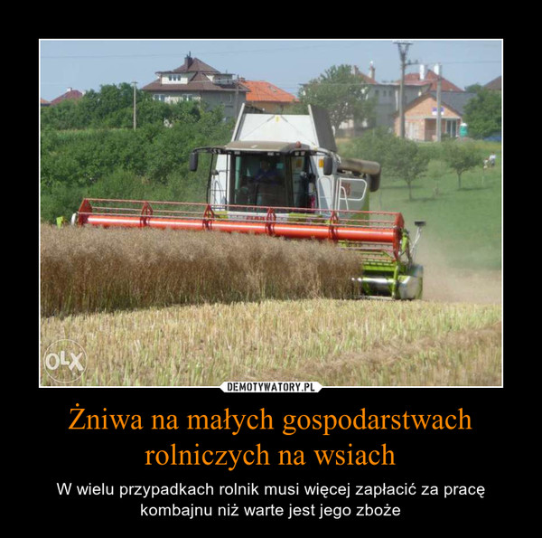 Żniwa na małych gospodarstwach rolniczych na wsiach – W wielu przypadkach rolnik musi więcej zapłacić za pracę kombajnu niż warte jest jego zboże 