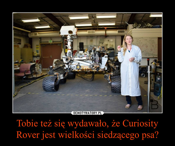 Tobie też się wydawało, że Curiosity Rover jest wielkości siedzącego psa?