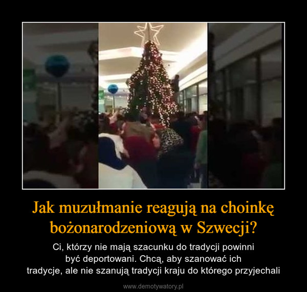 Jak muzułmanie reagują na choinkę bożonarodzeniową w Szwecji? – Ci, którzy nie mają szacunku do tradycji powinni być deportowani. Chcą, aby szanować ich tradycje, ale nie szanują tradycji kraju do którego przyjechali 