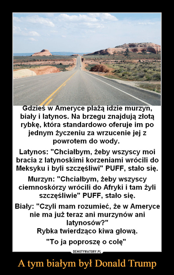 A tym białym był Donald Trump –  Gdzieś w Ameryce plażą idzie murzyn, biały i latynos. Na brzegu znajdują złotą rybkę, która standardowo oferuje im po jednym życzeniu za wrzucenie jej z powrotem do wody. Latynos: "Chciałbym, żeby wszyscy moi bracia z latynoskimi korzeniami wrócili do Meksyku i byli szczęśliwi" PUFF, stało się. Murzyn: "Chciałbym, żeby wszyscy ciemnoskórzy wrócili do Afryki i tam żyli szczęśliwie" PUFF, stało się. Biały: "Czyli mam rozumieć, że w Ameryce nie ma już teraz ani murzynów ani latynosów?" Rybka twierdząco kiwa głową. "To ja poproszę o colę" 