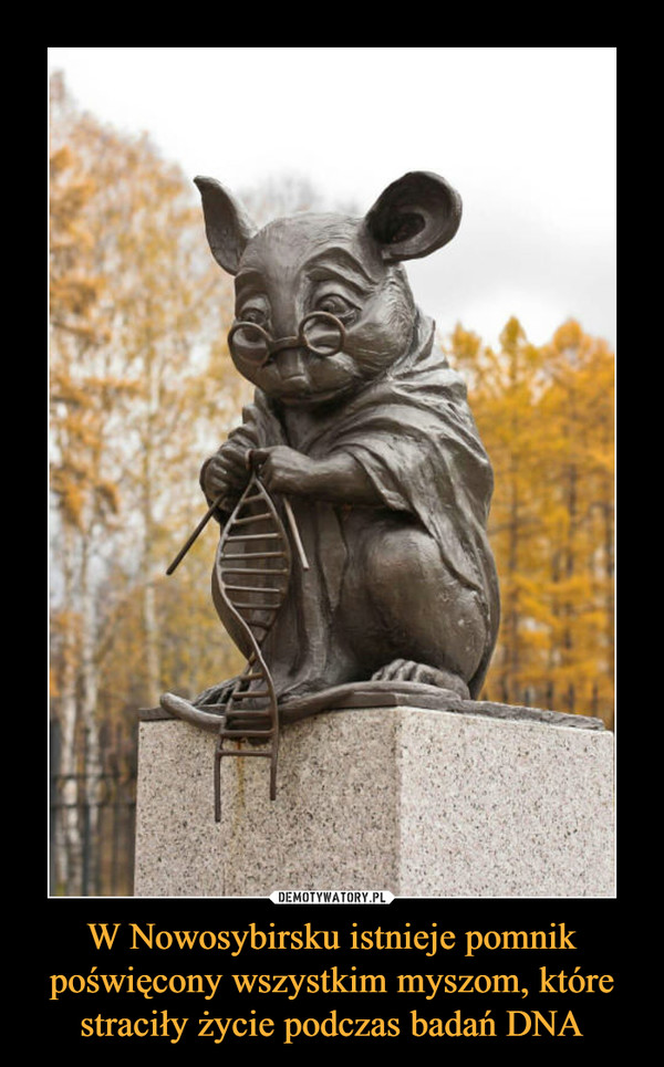 W Nowosybirsku istnieje pomnik poświęcony wszystkim myszom, które straciły życie podczas badań DNA –  