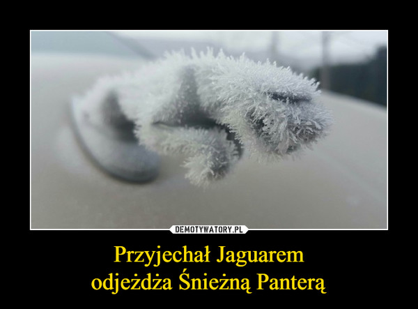 Przyjechał Jaguaremodjeżdża Śnieżną Panterą –  