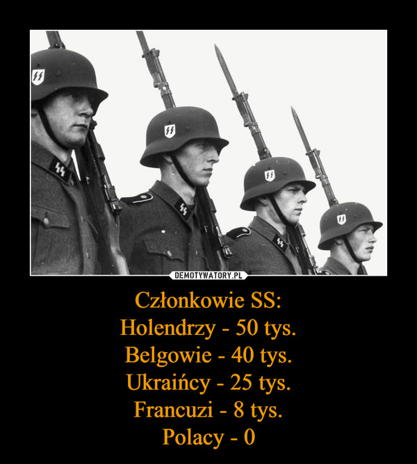 Członkowie SS:Holendrzy - 50 tys.Belgowie - 40 tys.Ukraińcy - 25 tys.Francuzi - 8 tys.Polacy - 0 –  