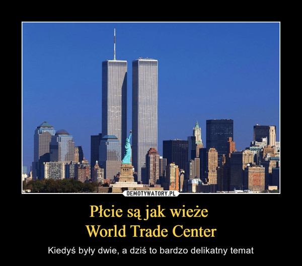 Płcie są jak wieże World Trade Center – Kiedyś były dwie, a dziś to bardzo delikatny temat 