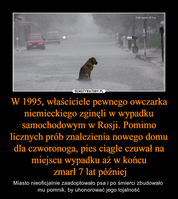 W 1995, właściciele pewnego owczarka niemieckiego zginęli w wypadku samochodowym w Rosji. Pomimo licznych prób znalezienia nowego domu dla czworonoga, pies ciągle czuwał na miejscu wypadku aż w końcu zmarł 7 lat później – Miasto nieoficjalnie zaadoptowało psa i po śmierci zbudowało mu pomnik, by uhonorować jego lojalność 