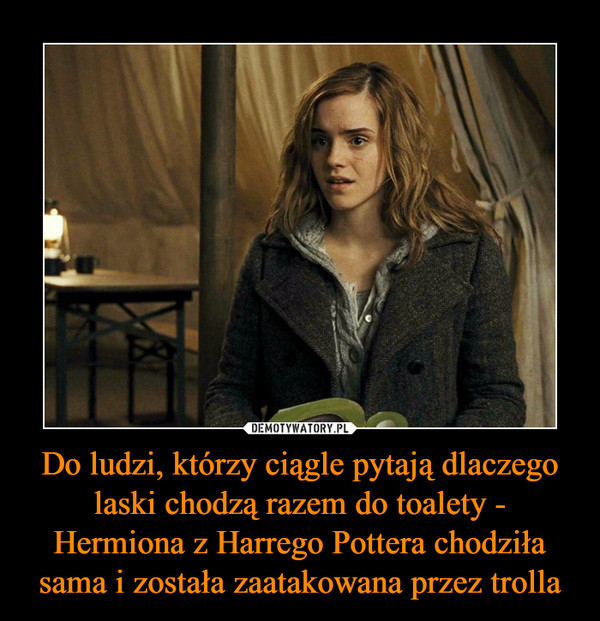 Do ludzi, którzy ciągle pytają dlaczego laski chodzą razem do toalety - Hermiona z Harrego Pottera chodziła sama i została zaatakowana przez trolla