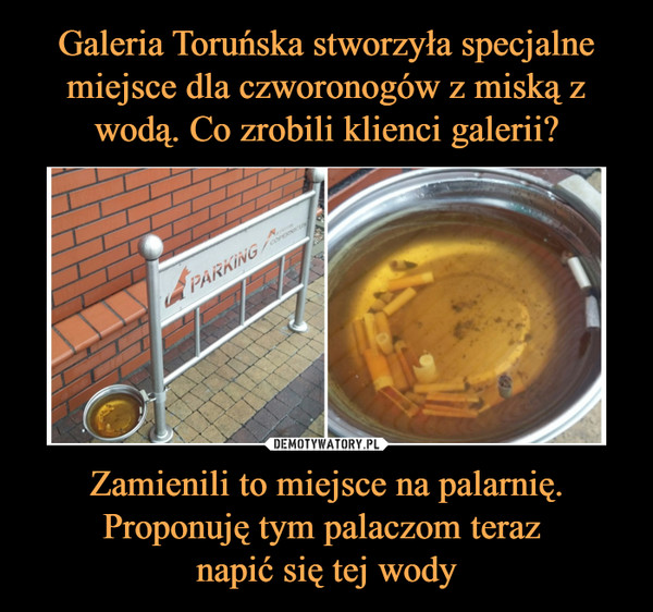 Galeria Toruńska stworzyła specjalne miejsce dla czworonogów z miską z wodą. Co zrobili klienci galerii? Zamienili to miejsce na palarnię. Proponuję tym palaczom teraz 
napić się tej wody
