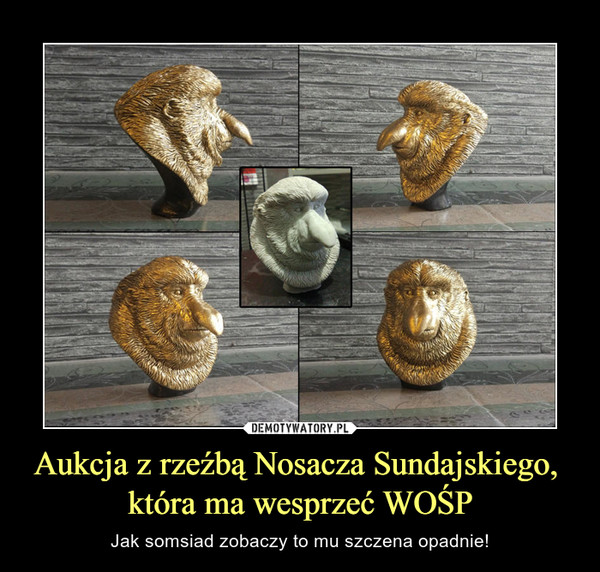 Aukcja z rzeźbą Nosacza Sundajskiego, która ma wesprzeć WOŚP – Jak somsiad zobaczy to mu szczena opadnie! 