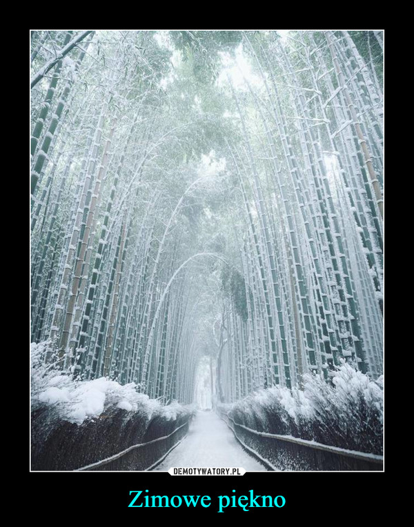 Zimowe piękno –  