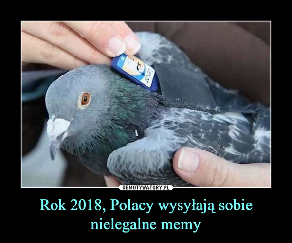 Rok 2018, Polacy wysyłają sobie nielegalne memy –  