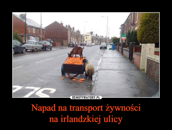 Napad na transport żywności
na irlandzkiej ulicy