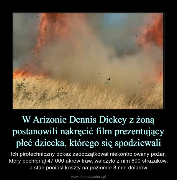 W Arizonie Dennis Dickey z żoną postanowili nakręcić film prezentujący płeć dziecka, którego się spodziewali – Ich pirotechniczny pokaz zapoczątkował niekontrolowany pożar, który pochłonął 47 000 akrów traw, walczyło z nim 800 strażaków, a stan poniósł koszty na poziomie 8 mln dolarów 