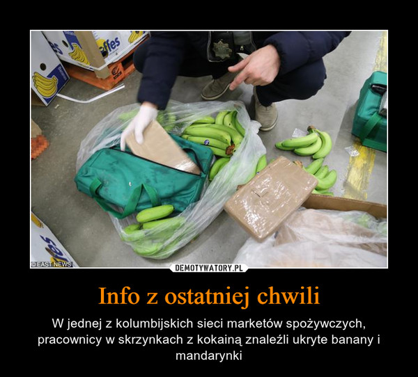 Info z ostatniej chwili – W jednej z kolumbijskich sieci marketów spożywczych, pracownicy w skrzynkach z kokainą znaleźli ukryte banany i mandarynki 