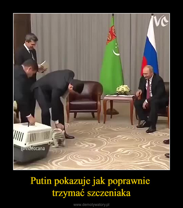 Putin pokazuje jak poprawnie trzymać szczeniaka –  