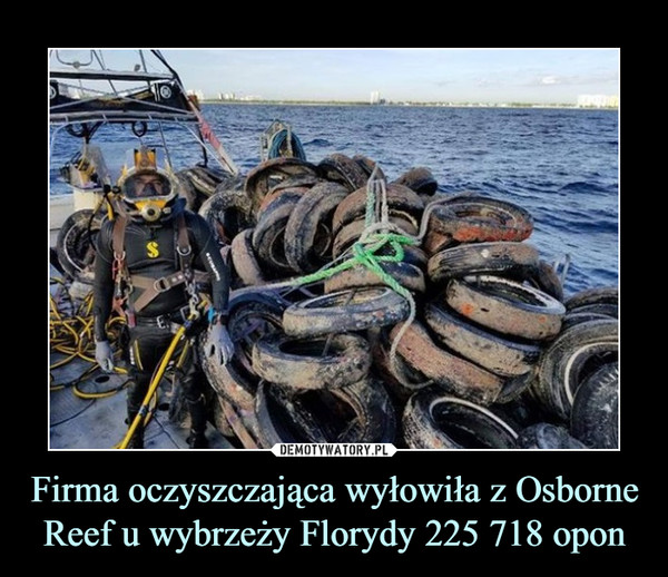 Firma oczyszczająca wyłowiła z Osborne Reef u wybrzeży Florydy 225 718 opon –  