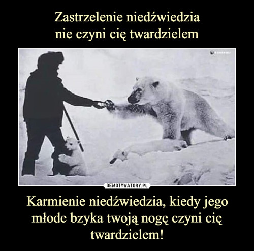 Zastrzelenie niedźwiedzia
nie czyni cię twardzielem Karmienie niedźwiedzia, kiedy jego młode bzyka twoją nogę czyni cię twardzielem!