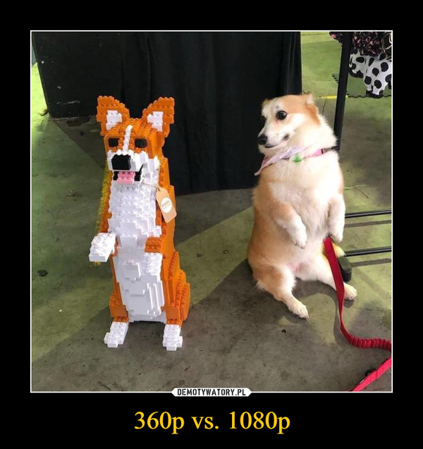 360p vs. 1080p –  