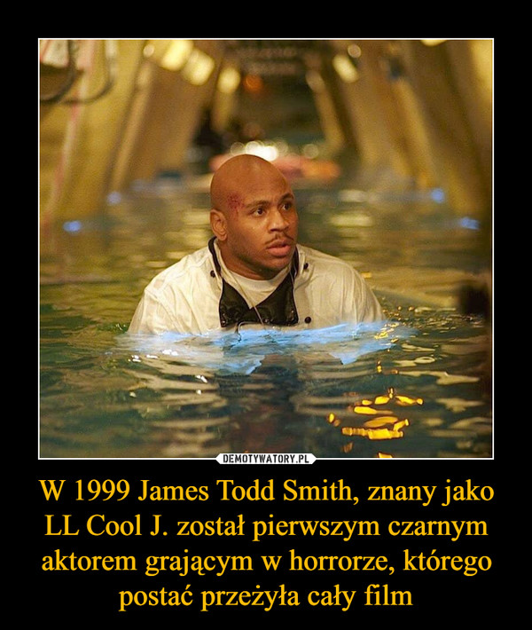 W 1999 James Todd Smith, znany jako LL Cool J. został pierwszym czarnym aktorem grającym w horrorze, którego postać przeżyła cały film –  