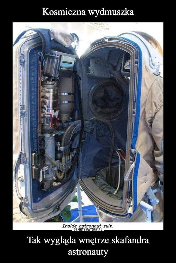 Tak wygląda wnętrze skafandra astronauty –  