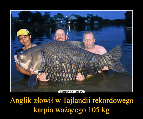 Anglik złowił w Tajlandii rekordowego karpia ważącego 105 kg –  