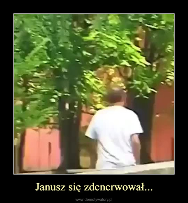 Janusz się zdenerwował... –  