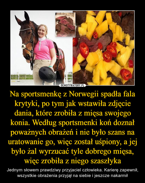 Na sportsmenkę z Norwegii spadła fala krytyki, po tym jak wstawiła zdjęcie dania, które zrobiła z mięsa swojego konia. Według sportsmenki koń doznał poważnych obrażeń i nie było szans na uratowanie go, więc został uśpiony, a jej było żal wyrzucać tyle dobrego mięsa, więc zrobiła z niego szaszłyka – Jednym słowem prawdziwy przyjaciel człowieka. Karierę zapewnił, wszystkie obrażenia przyjął na siebie i jeszcze nakarmił 