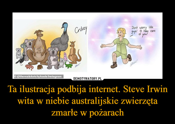 Ta ilustracja podbija internet. Steve Irwin wita w niebie australijskie zwierzęta zmarłe w pożarach