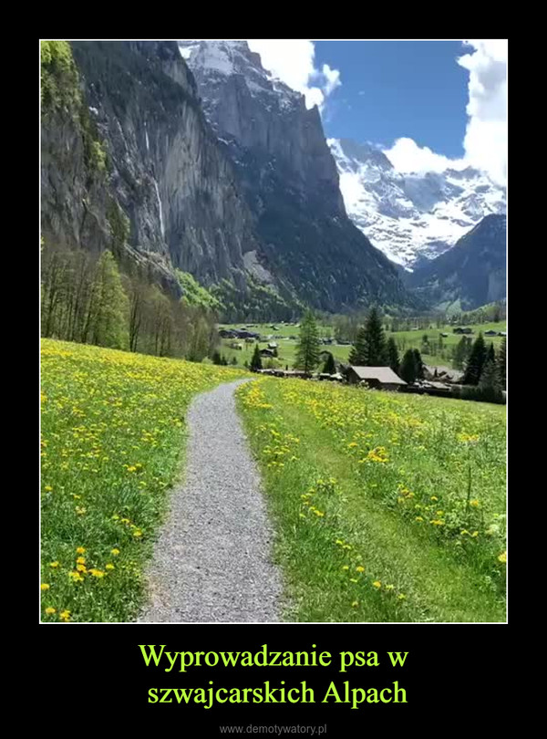Wyprowadzanie psa w szwajcarskich Alpach –  