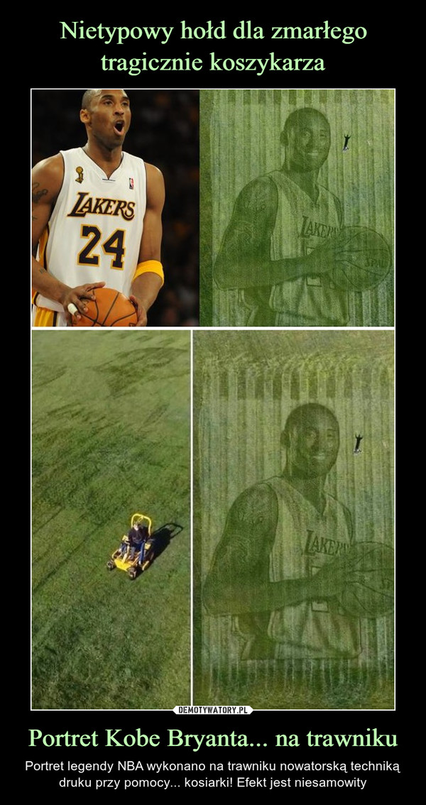 Nietypowy hołd dla zmarłego tragicznie koszykarza Portret Kobe Bryanta... na trawniku