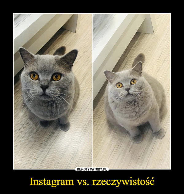 Instagram vs. rzeczywistość