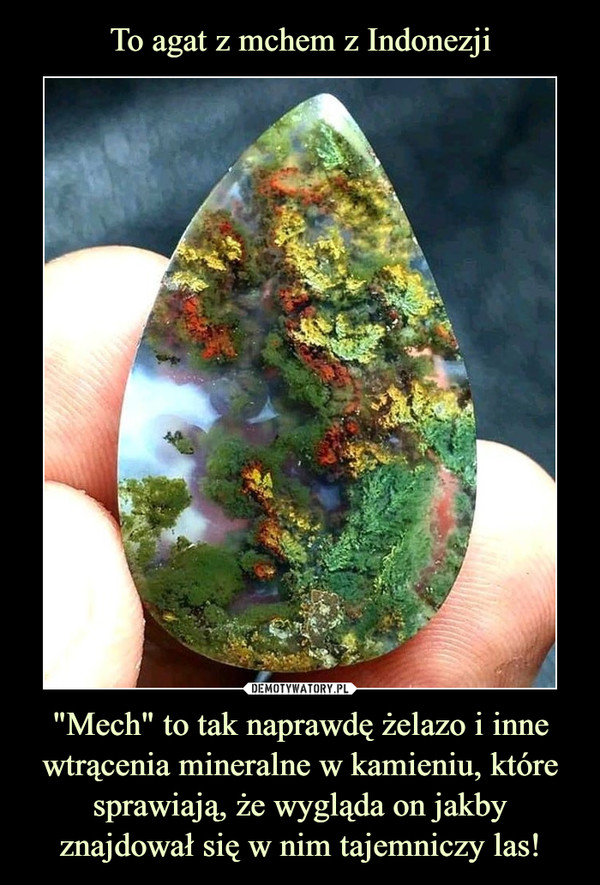 To agat z mchem z Indonezji "Mech" to tak naprawdę żelazo i inne wtrącenia mineralne w kamieniu, które sprawiają, że wygląda on jakby znajdował się w nim tajemniczy las!