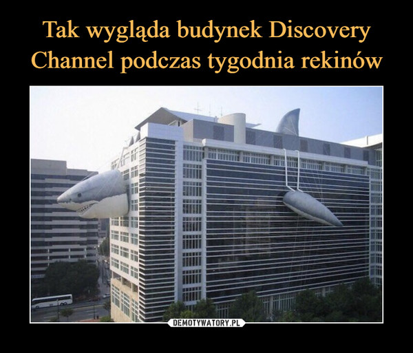 Tak wygląda budynek Discovery Channel podczas tygodnia rekinów