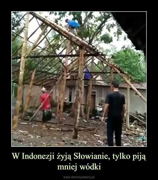 W Indonezji żyją Słowianie, tylko piją mniej wódki –  