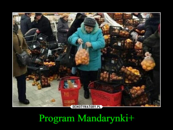 Program Mandarynki+ –  