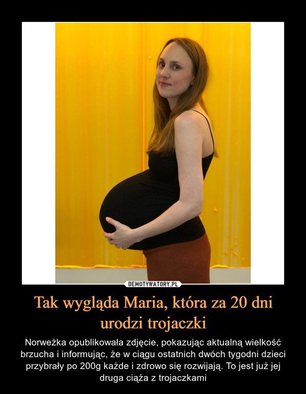 Tak wygląda Maria, która za 20 dni urodzi trojaczki – Norweżka opublikowała zdjęcie, pokazując aktualną wielkość brzucha i informując, że w ciągu ostatnich dwóch tygodni dzieci przybrały po 200g każde i zdrowo się rozwijają. To jest już jej druga ciąża z trojaczkami 