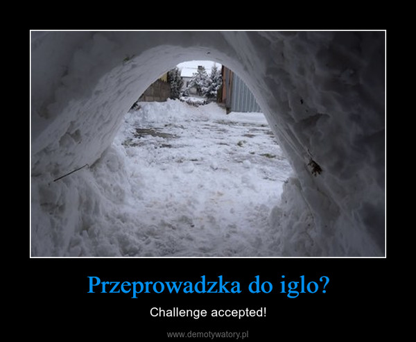 Przeprowadzka do iglo? – Challenge accepted! 